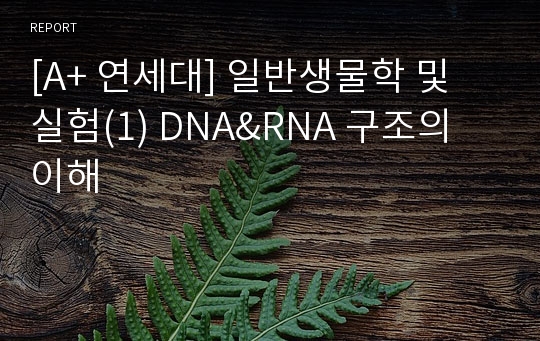 [A+ 연세대] 일반생물학 및 실험(1) DNA&amp;RNA 구조의 이해