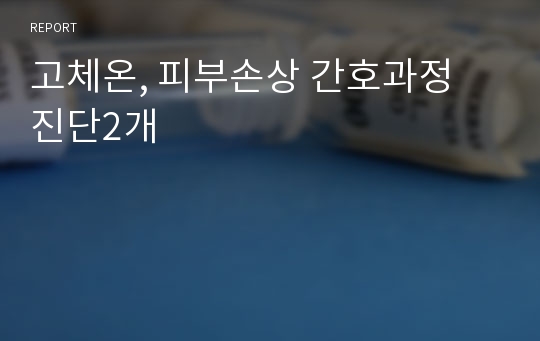 고체온, 피부손상 간호과정 진단2개