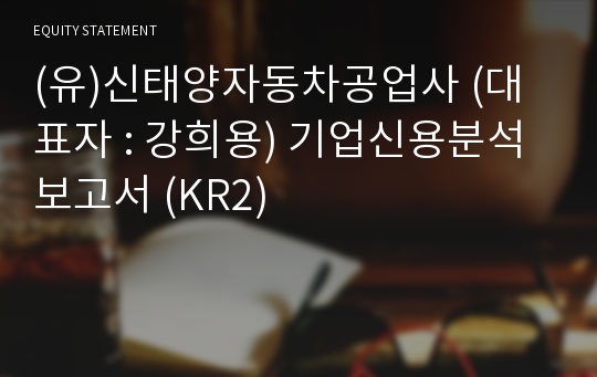 (유)금강자동차공업사 기업신용분석보고서 (KR2)