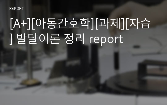 [A+][아동간호학][과제][자습] 발달이론 정리 report