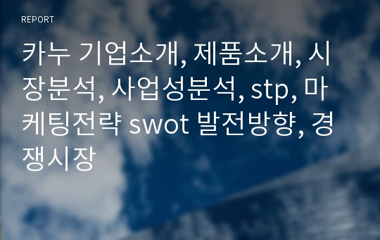 카누 기업소개, 제품소개, 시장분석, 사업성분석, stp, 마케팅전략 swot 발전방향, 경쟁시장