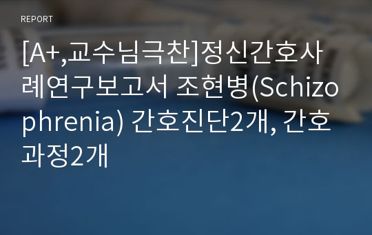 [A+,교수님극찬]정신간호사례연구보고서 조현병(Schizophrenia) 간호진단2개, 간호과정2개