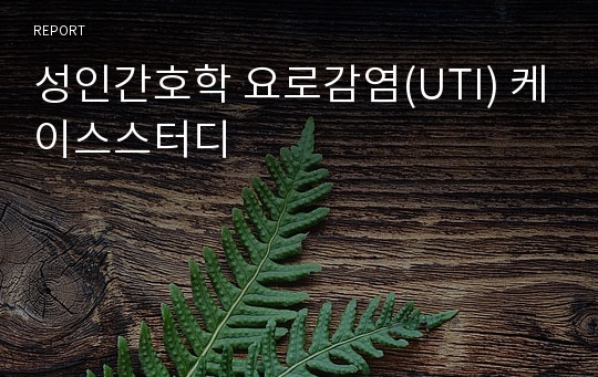 성인간호학 요로감염(UTI) 케이스스터디