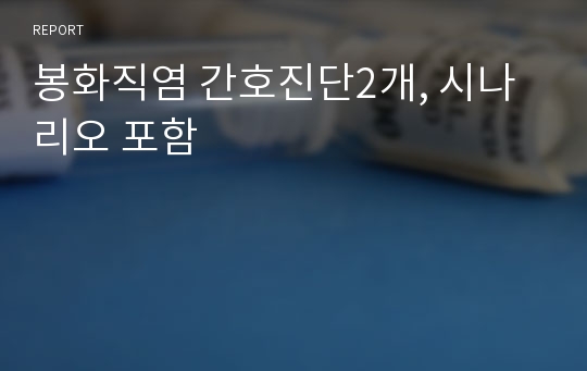 봉화직염 간호진단2개, 시나리오 포함