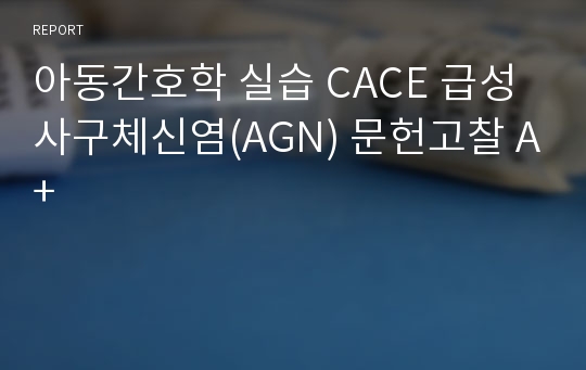 아동간호학 실습 CACE 급성사구체신염(AGN) 문헌고찰 A+