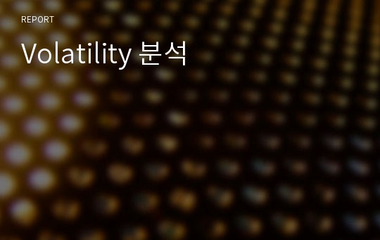 Volatility 분석