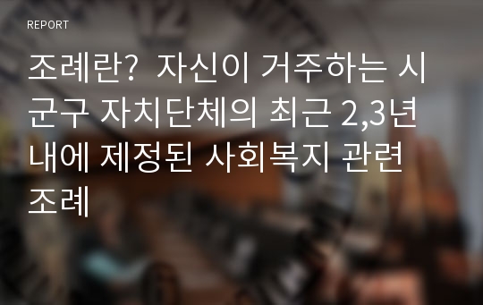 조례란?  자신이 거주하는 시군구 자치단체의 최근 2,3년 내에 제정된 사회복지 관련 조례