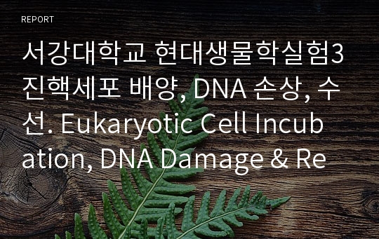 서강대학교 현대생물학실험3 진핵세포 배양, DNA 손상, 수선. Eukaryotic Cell Incubation, DNA Damage &amp; Repair