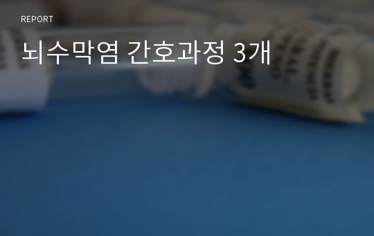 뇌수막염 간호과정 3개