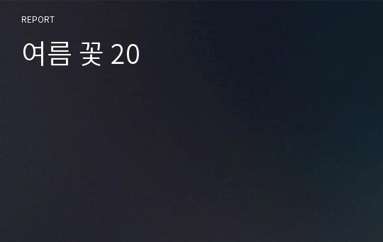 여름 꽃 20