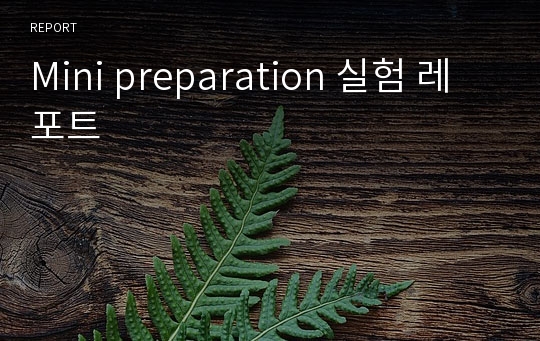 Mini preparation 실험 레포트