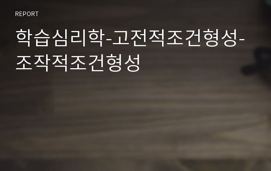 학습심리학-고전적조건형성-조작적조건형성