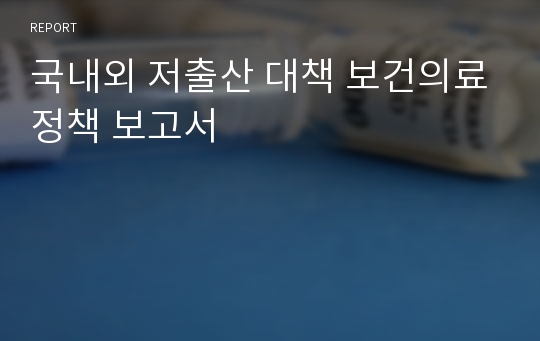 국내외 저출산 대책 보건의료정책 보고서