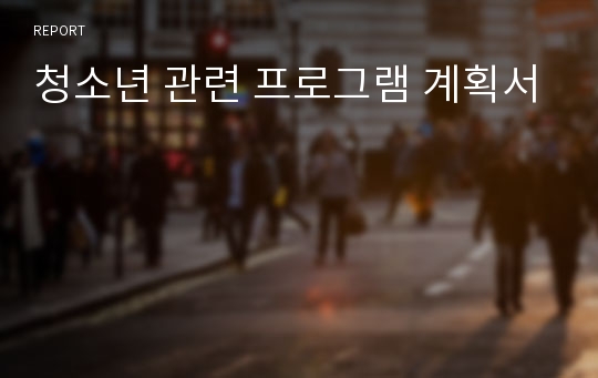 청소년 관련 프로그램 계획서