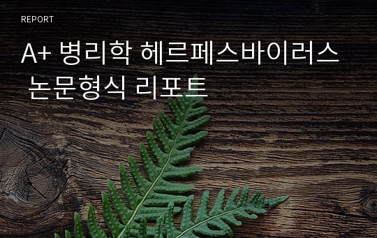 A+ 병리학 헤르페스바이러스 논문형식 리포트