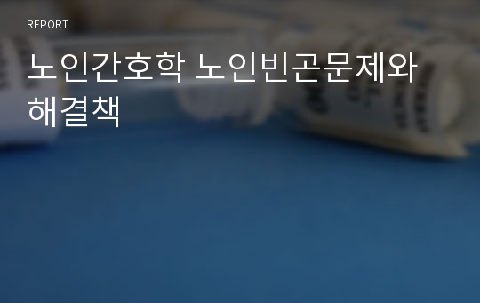 노인간호학 노인빈곤문제와해결책