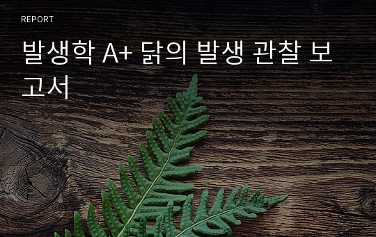 발생학 A+ 닭의 발생 관찰 보고서