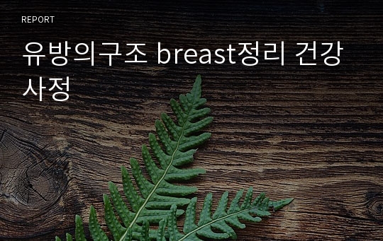 유방의구조 breast정리 건강사정