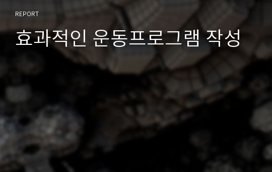 효과적인 운동프로그램 작성