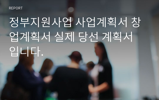 정부지원사업 사업계획서 창업계획서 실제 당선 계획서 입니다.