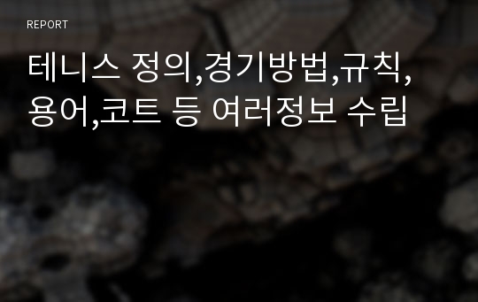 테니스 정의,경기방법,규칙,용어,코트 등 여러정보 수립