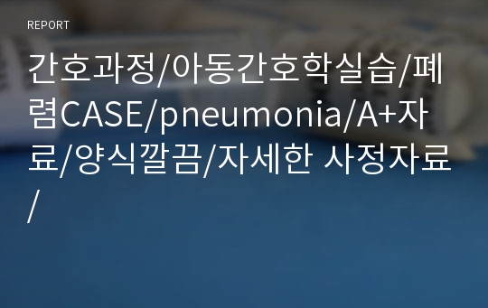 간호과정/아동간호학실습/폐렴CASE/pneumonia/A+자료/양식깔끔/자세한 사정자료/