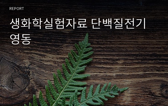 생화학실험자료 단백질전기영동