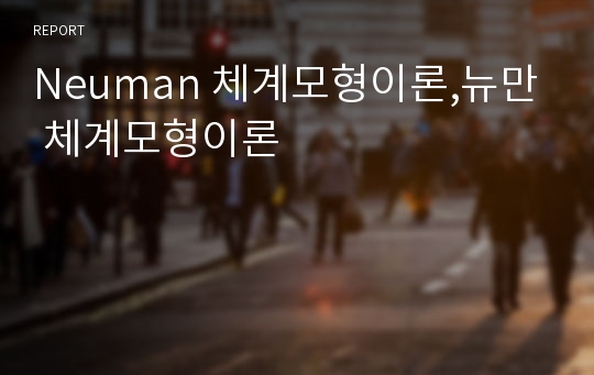 Neuman 체계모형이론,뉴만 체계모형이론