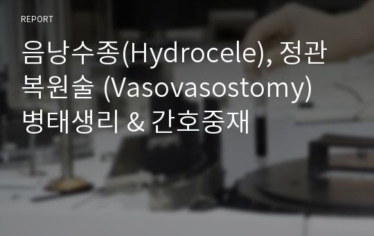 음낭수종(Hydrocele), 정관복원술 (Vasovasostomy) 병태생리 &amp; 간호중재