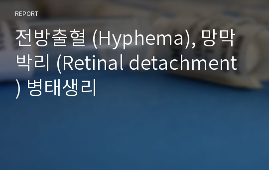 전방출혈 (Hyphema), 망막박리 (Retinal detachment) 병태생리