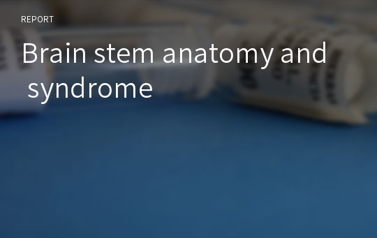 Brain stem anatomy and syndrome