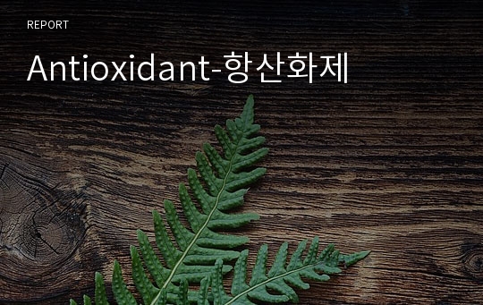 Antioxidant-항산화제