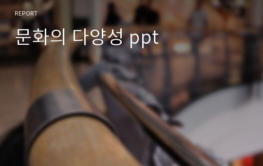 문화의 다양성 ppt