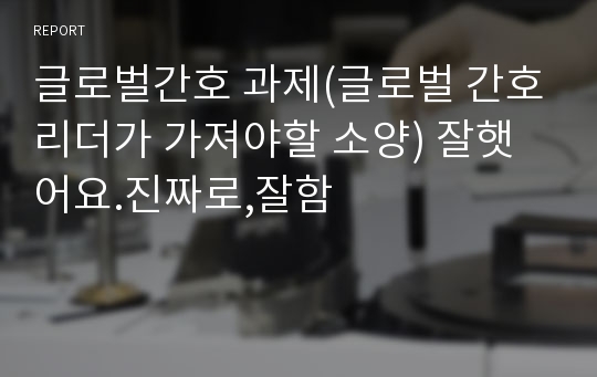 글로벌간호 과제(글로벌 간호리더가 가져야할 소양) 잘햇어요.진짜로,잘함