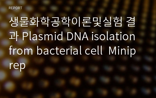 생물화학공학이론및실험 결과 Plasmid DNA isolation from bacterial cell  Miniprep