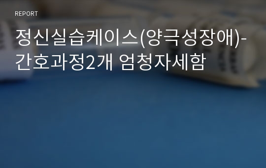 정신실습케이스(양극성장애)-간호과정2개 엄청자세함