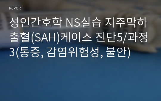 성인간호학 NS실습 지주막하출혈(SAH)케이스 진단5/과정3(통증, 감염위험성, 불안)