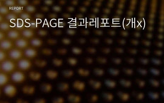 SDS-PAGE 결과레포트(개x)