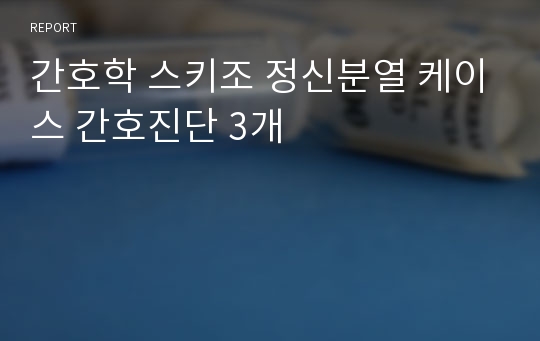 간호학 스키조 정신분열 케이스 간호진단 3개