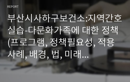 부산시사하구보건소:지역간호실습-다문화가족에 대한 정책(프로그램, 정책필요성, 적용사례, 배경, 법, 미래방향)