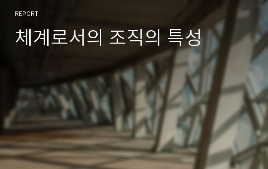 체계로서의 조직의 특성