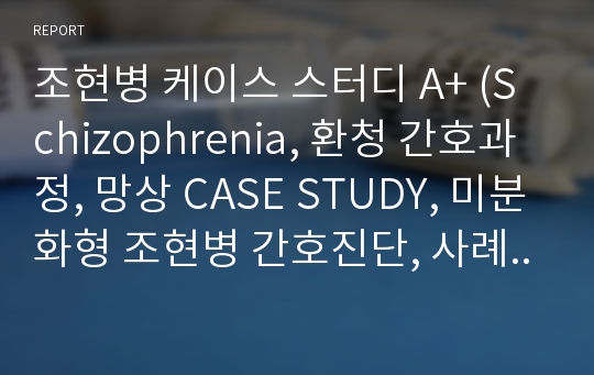 조현병 케이스 스터디 A+ (Schizophrenia, 환청 간호과정, 망상 CASE STUDY, 미분화형 조현병 간호진단, 사례연구)