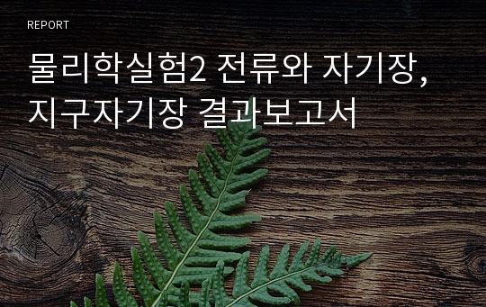 물리학실험2 전류와 자기장,지구자기장 결과보고서