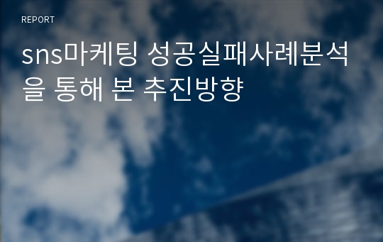 sns마케팅 성공실패사례분석을 통해 본 추진방향