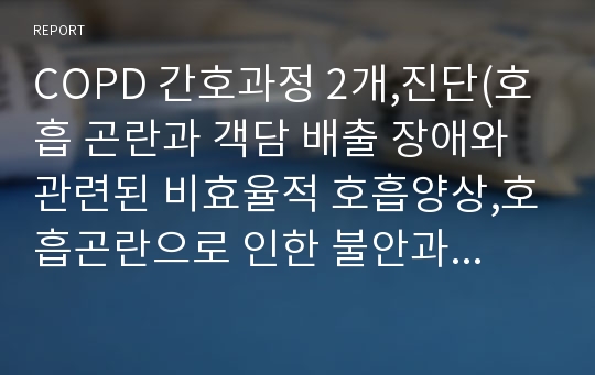 COPD 간호과정 2개,진단(호흡 곤란과 객담 배출 장애와 관련된 비효율적 호흡양상,호흡곤란으로 인한 불안과 환경 변화와 관련된 수면장애 )