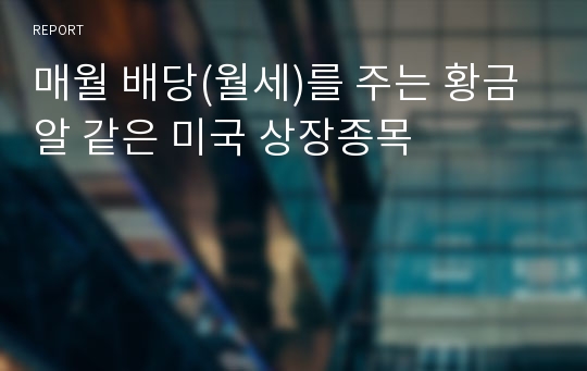 매월 배당(월세)를 주는 황금알 같은 미국 상장종목