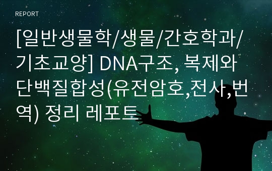 [일반생물학/생물/간호학과/기초교양] DNA구조, 복제와 단백질합성(유전암호,전사,번역) 정리 레포트