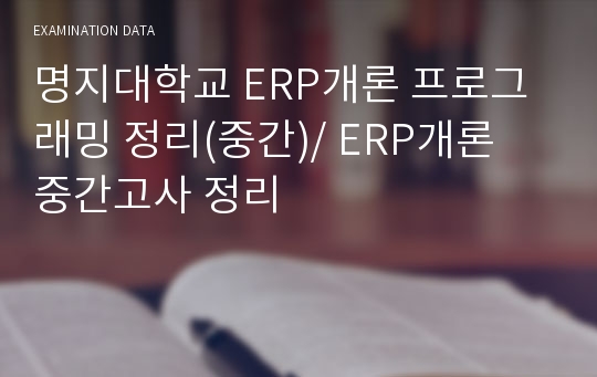 명지대학교 ERP개론 프로그래밍 정리(중간)/ ERP개론 중간고사 정리