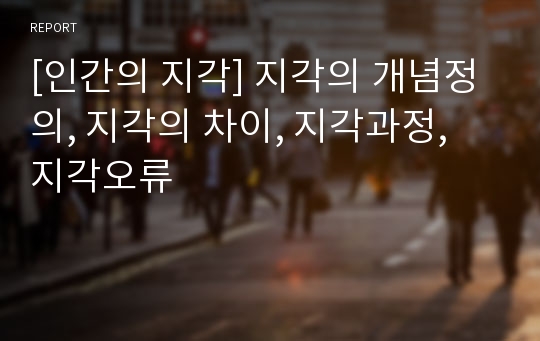 [인간의 지각] 지각의 개념정의, 지각의 차이, 지각과정, 지각오류