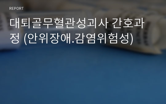 대퇴골무혈관성괴사 간호과정 (안위장애.감염위험성)